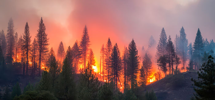 Como proteger a sua saúde do fumo dos incêndios